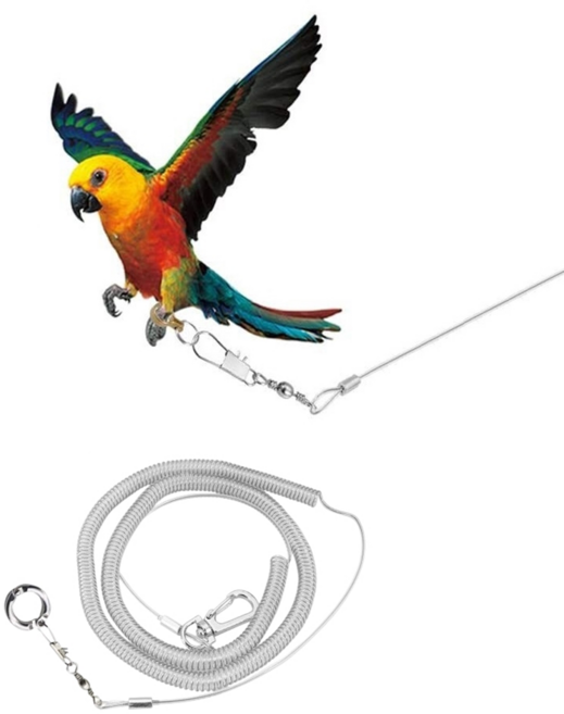 앵무새 발목링 하네스 리드줄 산책 용품 줄 링, 1개, 실버