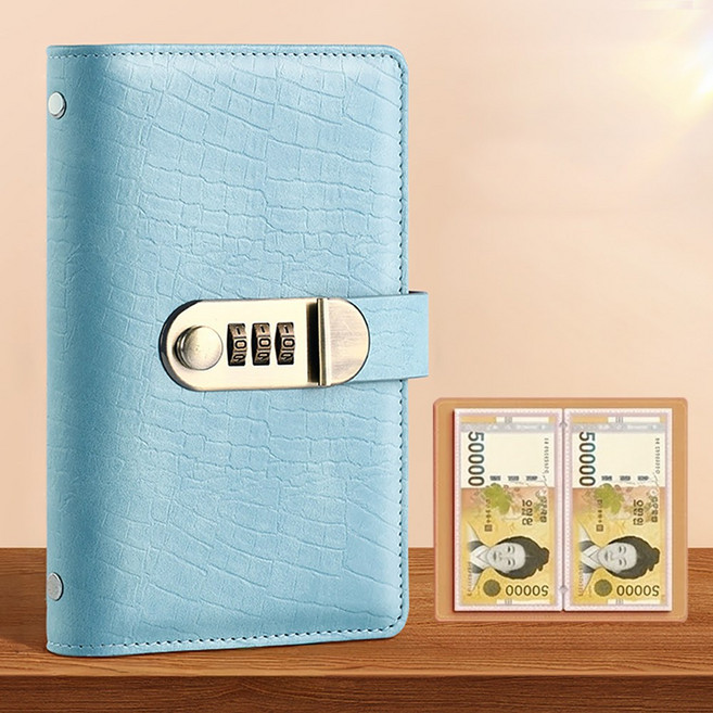 바이앤뷰 현금 바인더 수납 다이어리, 1개, 스카이 블루