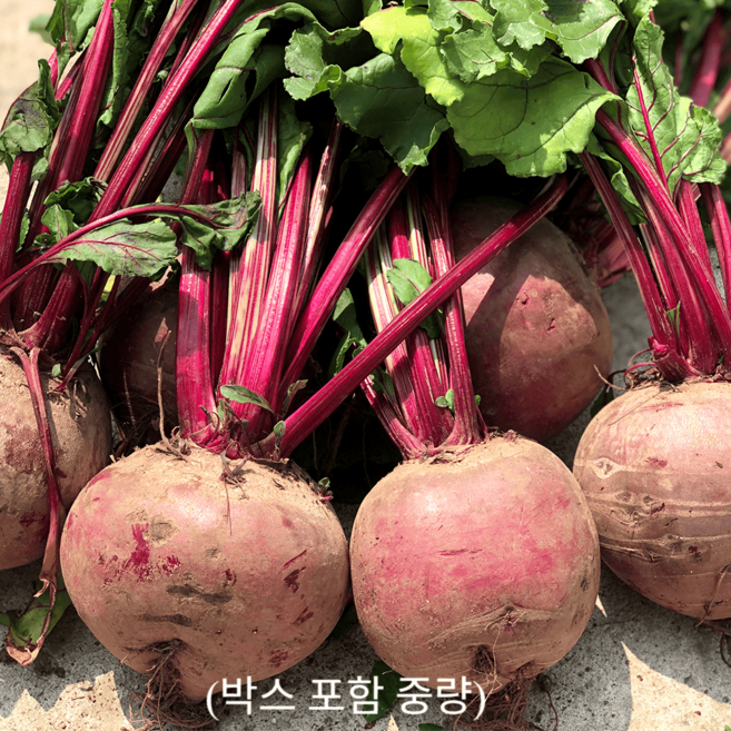 제주 프리미엄 정품 레드비트, 1개, 3kg