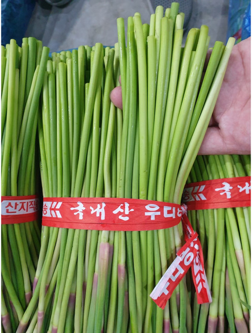 국내산 창녕 마늘쫑 부드러운 햇마늘쫑, 1개, 1kg