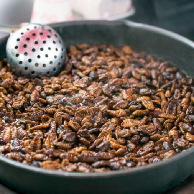 맛있는 냉동번데기 업소용 번데기4KG 식당번데기, 1개, 4kg