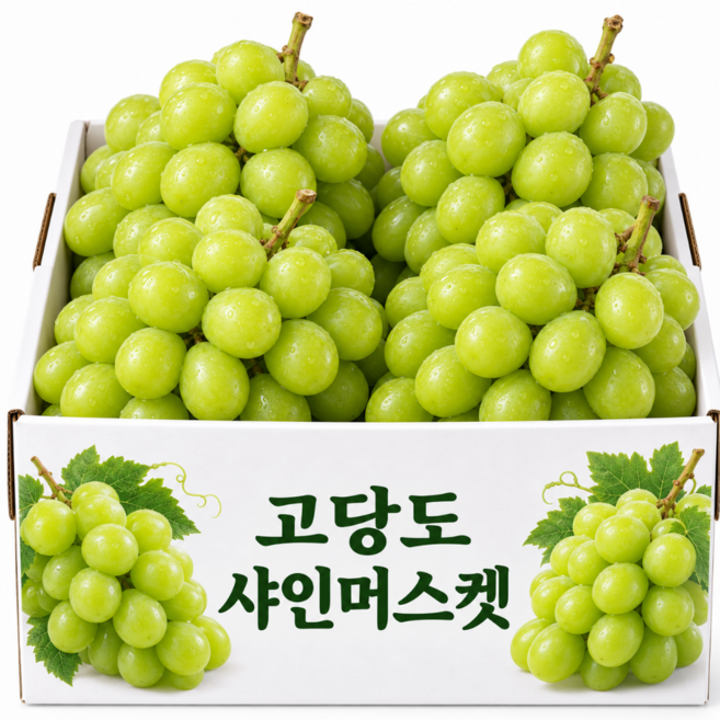 [단독초특가] 하루딱70박스 18brix 초고당도 샤인머스캣, 1박스, 2kg (수량한정)