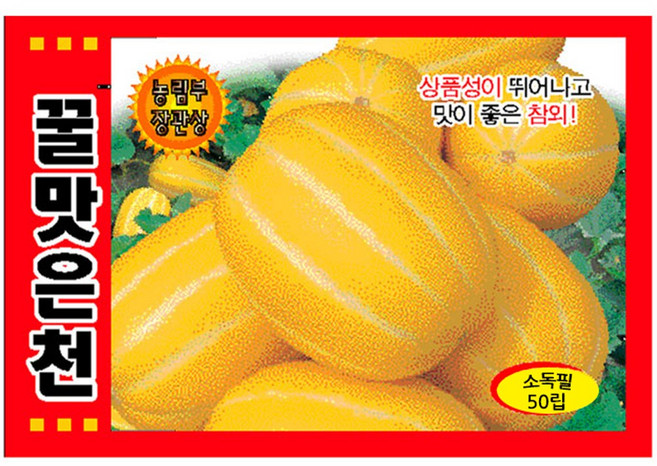 꿀맛은천 참외 씨앗 50립 농림부 장관상 참외씨 종자, 1개