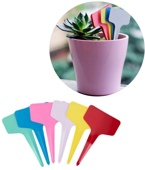 플라스틱 화분 식물 나무 묘목 화초 꽃 이름표 네임 태그 네임택 꽂이 팻말 푯말 표찰 펫말 명찰 가든픽, D 그린 1p