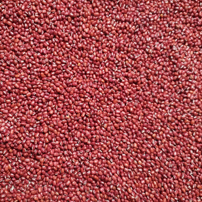 전남 곡성 산지직송 25년산 국산 햇 팥 국내산 팥, 1박스, 2kg