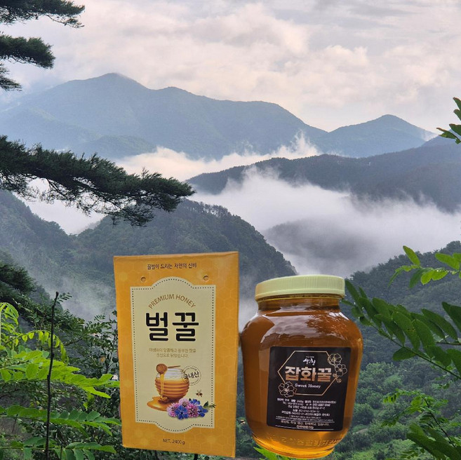 지리산의 선물 산청 청정골 잡화꿀 2.4kg, 1개
