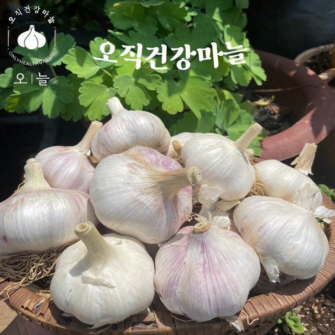 26년 국내산 건강한통마늘 2kg, 1개
