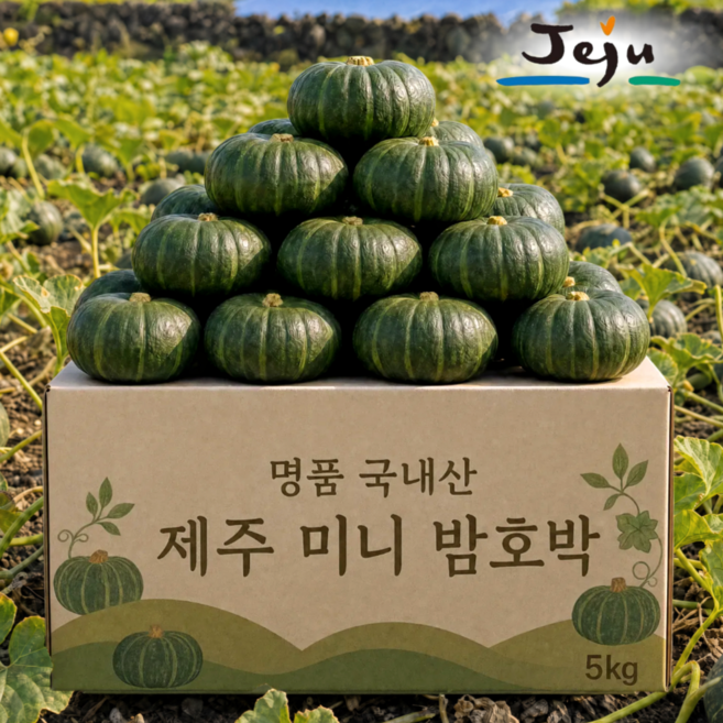 [제주우수농가] 미니 밤호박 단호박 보우짱, 1박스, 명품로얄 1kg