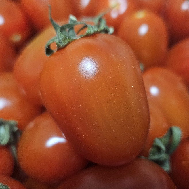 산지직송 서우네 단단한 고당도 대추방울토마토, 1개, 2kg