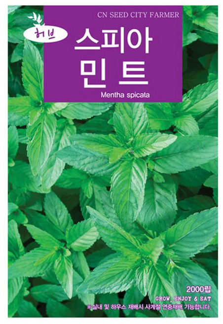 스피아민트 허브 씨앗 스피아민트씨 2000립, 4개