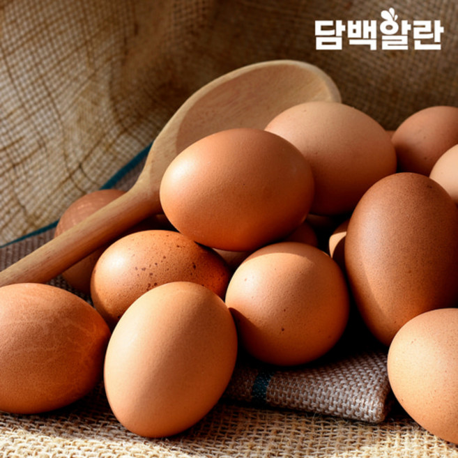 담백알란 동물복지 유정란 20구, 1개