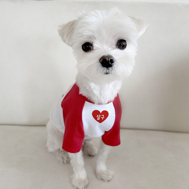 입는생각 주문제작 이름 각인 강아지옷 커스텀 나그랑 하트 티셔츠 대형견옷 중형견의류 인쇄, 레드, 1개