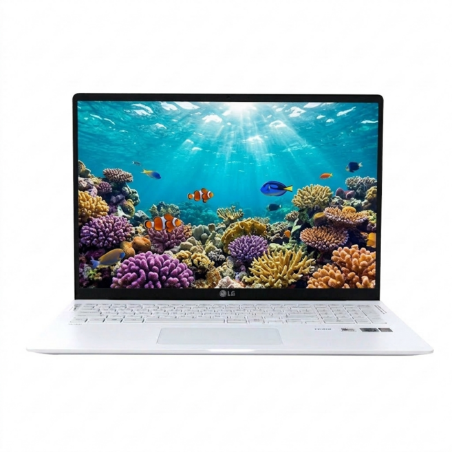 LG전자 그램 15Z90N i7 10세대/16GB/NVMe SSD 512GB/윈11 FHD 15.6인치 사무용 노트북, WIN11 Home, 16GB, 512GB, 퓨어 화이트
