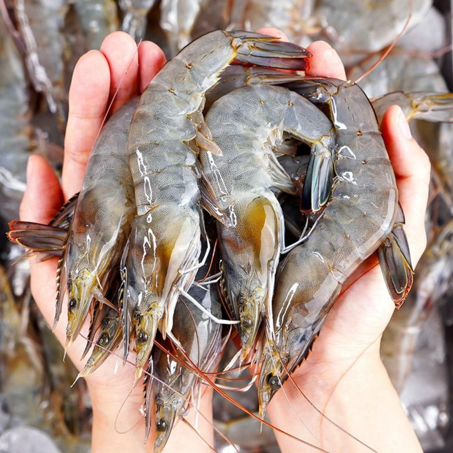 전라도청년 산지직송 국내산 신안군 흰다리새우 1kg(40미 내외), 1개, 1kg