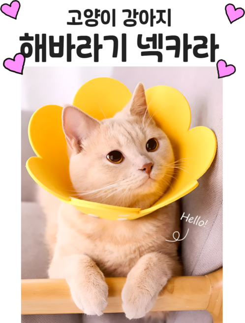 고양이 강아지 해바라기 넥카라 팰트 가벼운 불편함 없는 모양 자유자재, 1개, 핑크