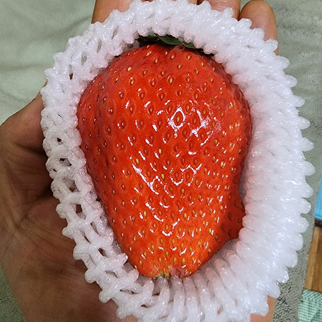 프리미엄 킹스베리 제철 대왕딸기 고당도 국산 딸기, 1개, 대왕특 400g 내외 (5-7과 내외)