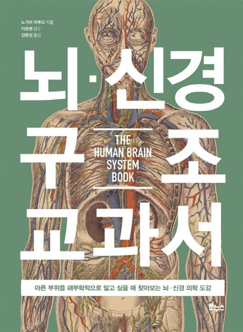 뇌 신경 구조 교과서:아픈 부위를 해부학적으로 알고 싶을 때 찾아보는 뇌·신경 의학 도감, 보누스, 노가미 하루오 저/장은정 역/이문영 감수
