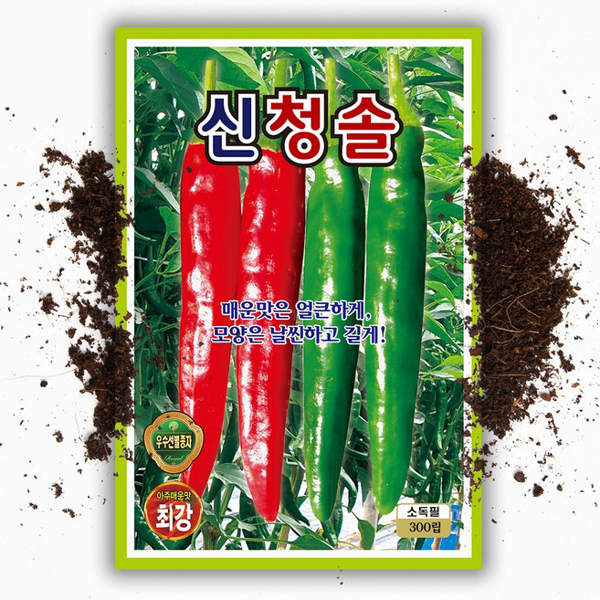 매운 고추씨앗 신청솔 300립 청양 고추 씨 종자, 1개