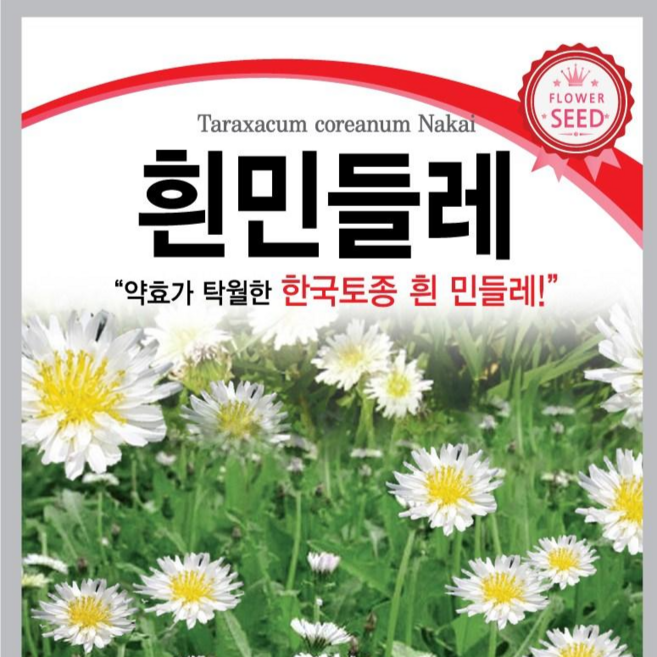 하얀민들레씨앗, 1개