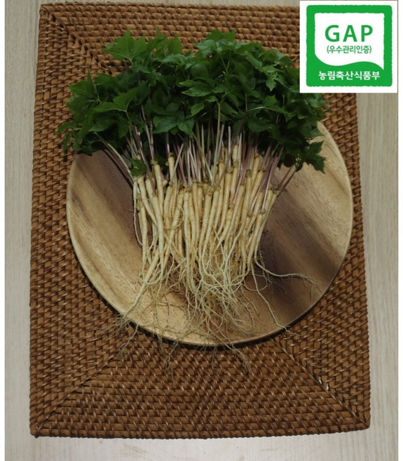 [류씨농장] 국내산 GAP인증 새싹인삼 100뿌리(15cm내외/실속형) 당일수확 수경재배 산지직송, 1