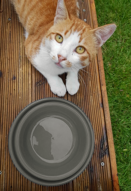 캣앤피플 개미퇴치 길고양이 밥그릇, 회색, 1개