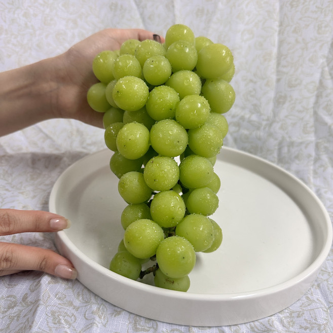 [당도선별] 고당도 샤인머스켓, 1박스, [당도선별] 샤인머스켓 1kg 2송이
