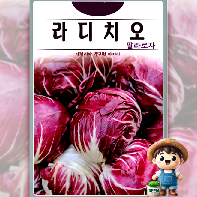 KS종묘 라디치오 300립 팔라로자 이탈리아 치커리 샐러드 재료 씨앗 종자