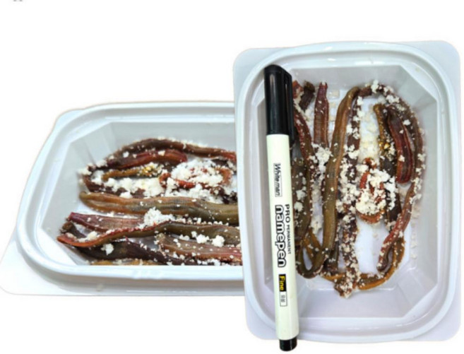 염장 혼무시 미끼 우럭 돔 붕장어용 바다 낚시미끼 냉동보관, 단품