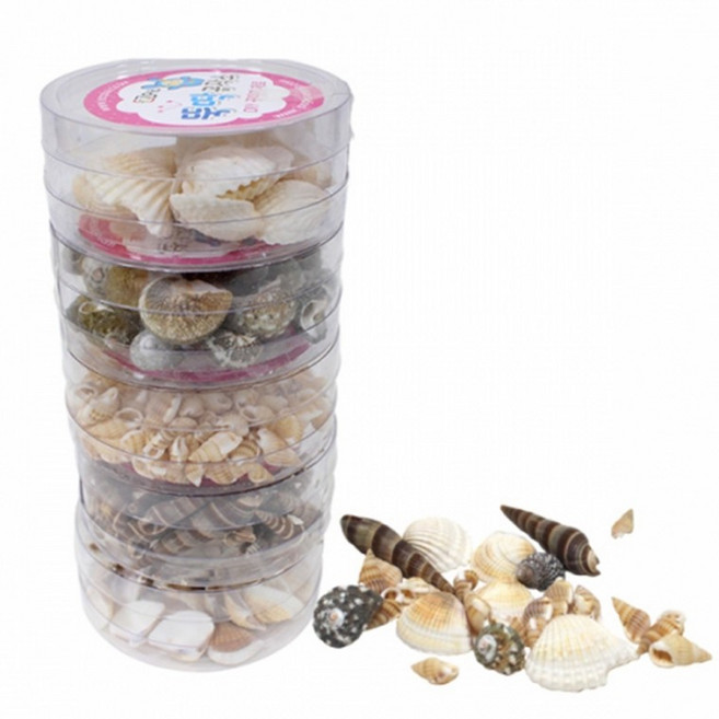 조개껍질 부자재 세트 5종 약50g 만들기 어린이집 유아교구, 1개, 상세페이지 참조, 상세페이지 참조