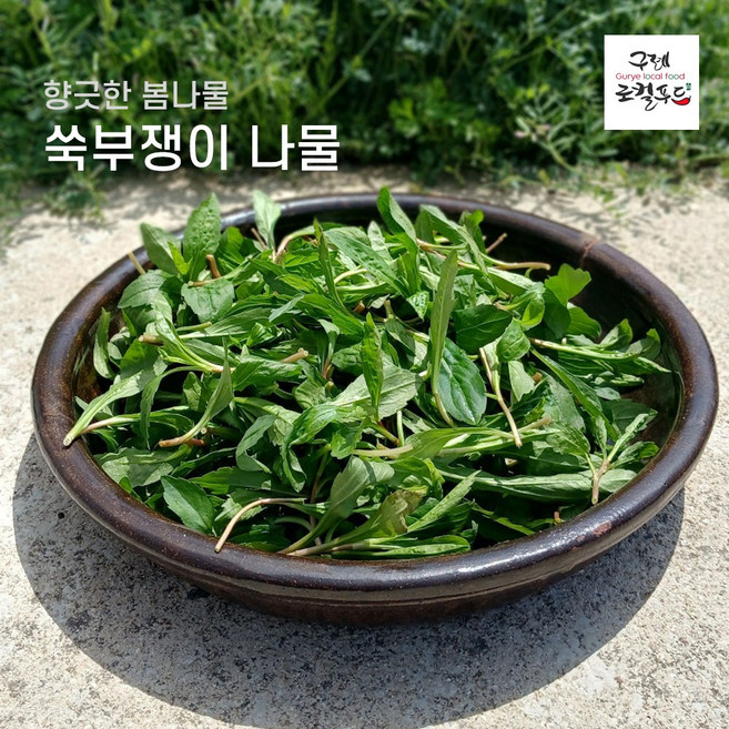 지리산 구례 햇 생 쑥부쟁이 부지깽이 봄나물 부지갱이 산지직송, 3박스