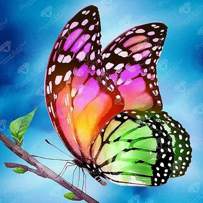 DIAMOND ART CLUB Bird of Joy 다이아몬드 페인팅 키트 성인용 재미있는 DIY 공예 라운드 아트 캔버스 22.8 x 33.8cm 9 13.5인치 13 189, Watercolor Butterfly.