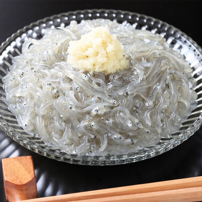 당일바리 특신선 국산 실치회 생물 뱅어 횟감, 1개, 생물 실치 600g