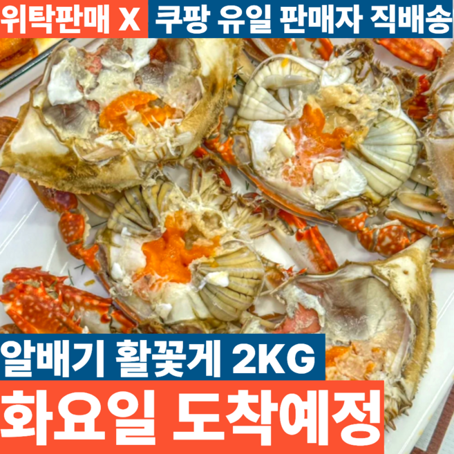 국내산 생물 알배기 활꽃게, 1개, 2kg