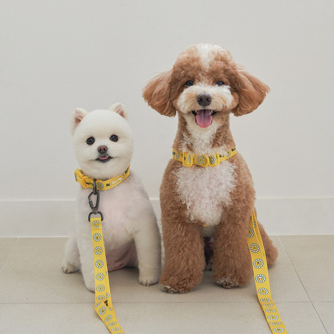 베일리펫 핸즈프리 강아지 리드줄 2.5M 길이조절 산책줄, 1개, 옐로우