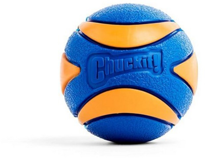 Chuckit! Ultra 삑삑이 공 123274, 스퀴커