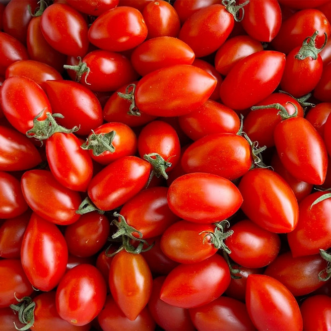 [엄지척농산물] GAP인증 대추방울토마토, 2kg, 1박스