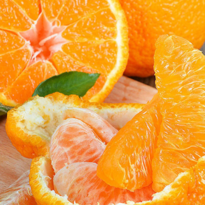 [시즌오프60%할인] 새콤달콤 당도선별 제주 한라봉, 1박스, 10kg