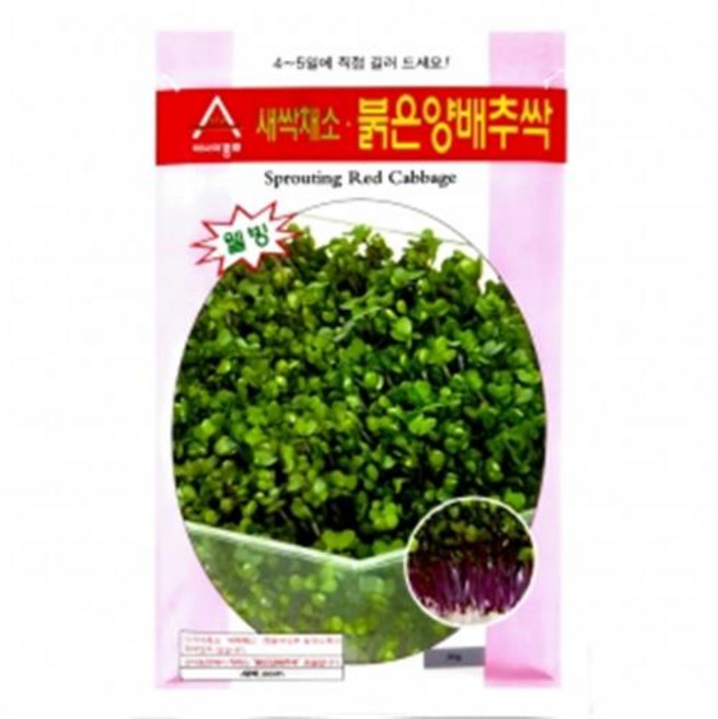 아시아종묘 씨앗 새싹 붉은양배추싹 1kg, 1개