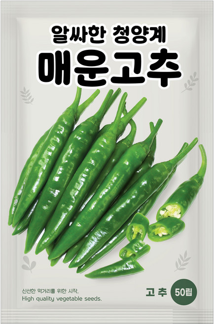 NH농우바이오 청양계 매운고추 씨앗 50립, 1개