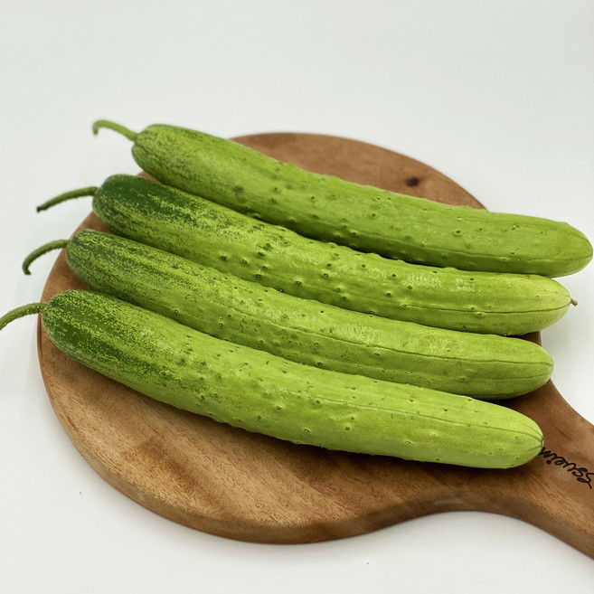 국내산 백오이 지오이 백다다기 오이 1박스 [노블프레쉬], 10kg (백오이)