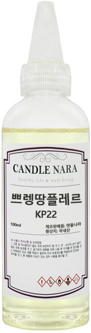 캔들나라 발향력 좋은 프리미엄 프래그런스 오일 원액, 1개, 100ml, 22_쁘렝땅플레르
