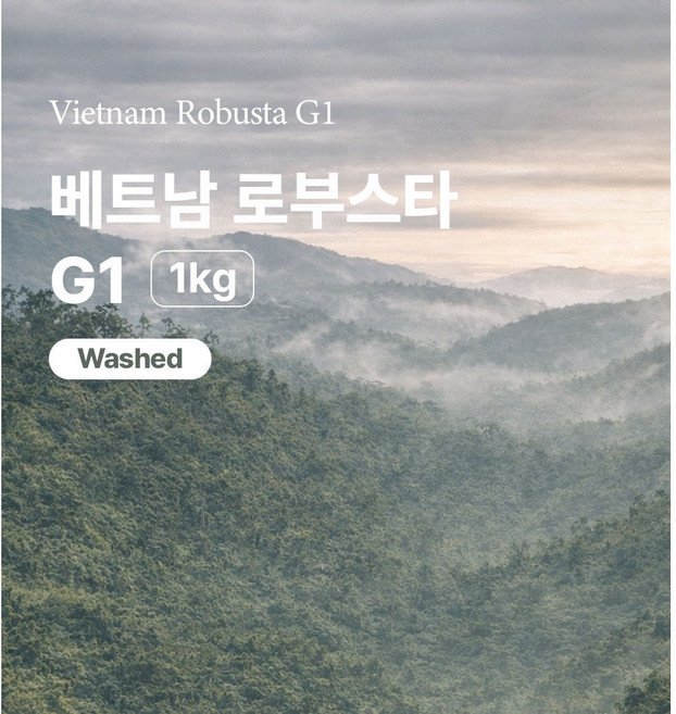 커피 생두 1kg 베트남 로부스타 G1 폴리시드(ZGOC810FC1000A01), 분쇄안함, 1개