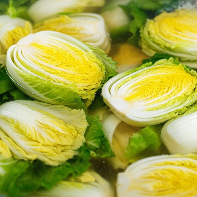 [산지직송] 맑은 공기 속에서 자란 강원도 절임배추, 강원도 고랭지 절임배추, 1박스, 20kg