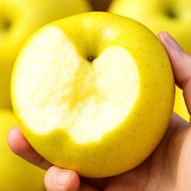 [추석초특가] 달콤아삭 꿀당도 황금사과 시나노골드, 1박스, 5kg