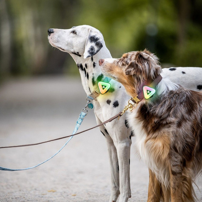 모츄츄 펫 안전등 야간 발광 조명 강아지 목걸이 LED 라이트 6가지 모드 스마트 센서 방수 산책등 선물 추천, 1개, 삼각