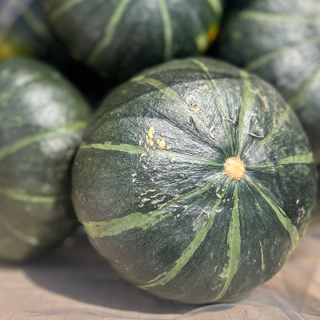 신선 수입 단호박 10KG 식자재 업소용 대용량 유어컨 수입전문업체, 1박스