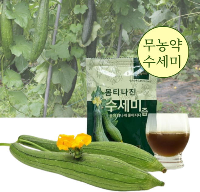 무농약 수세미 100% 원물그대로 기침 기관지에 좋은 수세미즙, 33개, 100ml