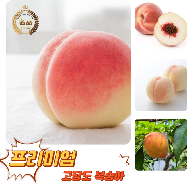 [굿피플] 고당도 천상의맛 햇복숭아 복숭아 하우스복숭아, 1박스, 털복숭아 4kg 17-18과 (딱딱이,황도,백도 랜덤)