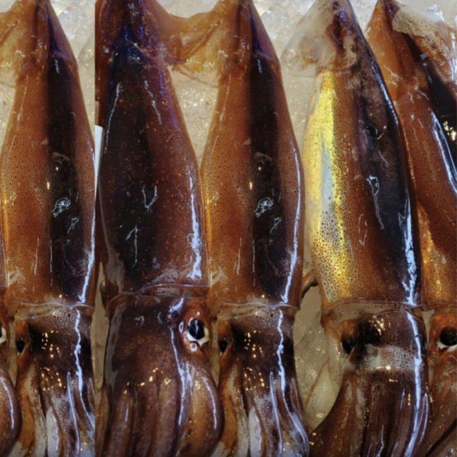 손질오징어 급냉 대용량 실속형, 1개, 10미 개당 135g