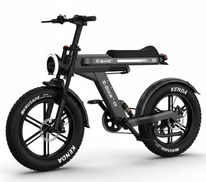 웨이라이드 프리미엄 C9 자토바이 750W 광폭 KENDA 타이어 듀얼 서스펜션 전기자전거, 스텔스그레이, 스탠다드 48V 20Ah (주행70km)
